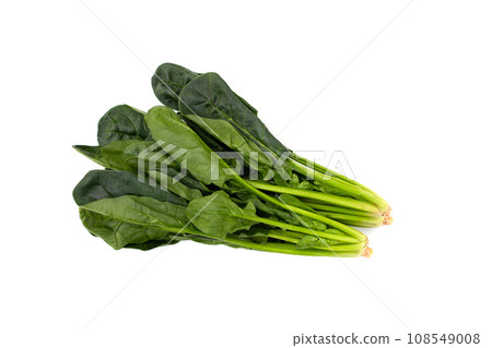 Fresh spinach on white background Fresh spinach on white background 108549008