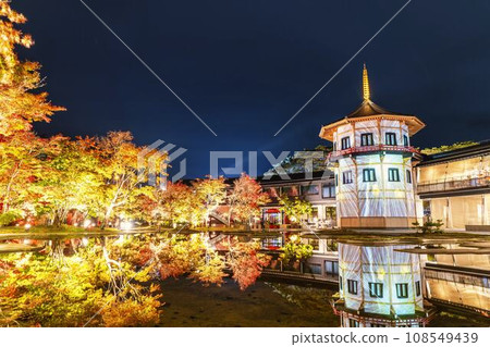 日本三大秋景之一的松島，宮城縣松島離宮「紅葉&點燈2023」宮城縣松島町 108549439
