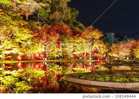 日本三大秋景之一的松島，宮城縣松島離宮「紅葉&點燈2023」宮城縣松島町 108549444