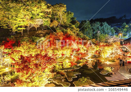 日本三大秋景之一的松島，宮城縣松島離宮「紅葉&點燈2023」宮城縣松島町 108549446