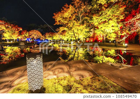 Matsushima, one of Japan's three most scenic views in autumn, Matsushima Imperial Villa, Miyagi Prefecture "Autumn leaves & light-up 2023" Matsushima Town, Miyagi Prefecture 108549470