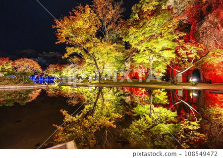 Matsushima, one of Japan's three most scenic views in autumn, Matsushima Imperial Villa, Miyagi Prefecture "Autumn leaves & light-up 2023" Matsushima Town, Miyagi Prefecture Matsushima, one of Japan's three most scenic views in autumn, Matsushima Imperial Villa, Miyagi Prefecture "Autumn leaves & light-up 2023" Matsushima Town, Miyagi Prefecture 108549472