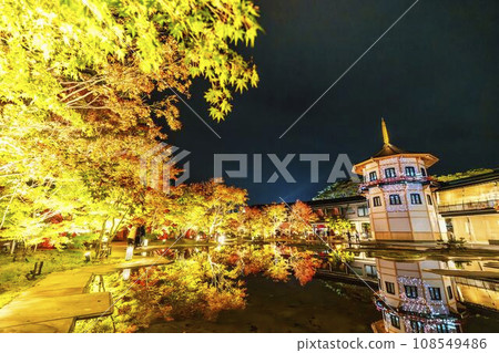 Matsushima, one of Japan's three most scenic views in autumn, Matsushima Imperial Villa, Miyagi Prefecture "Autumn leaves & light-up 2023" Matsushima Town, Miyagi Prefecture 108549486