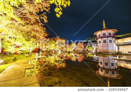 日本三大秋景之一的松島，宮城縣松島離宮「紅葉&點燈2023」宮城縣松島町 108549487