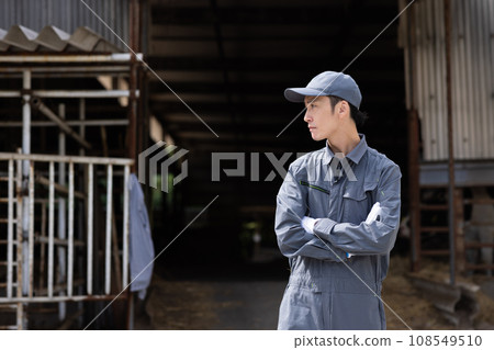 酪農飼養乳牛 108549510