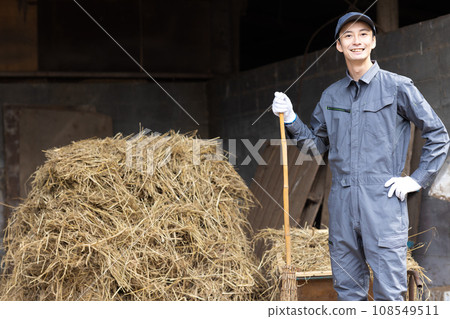 酪農飼養乳牛 108549511