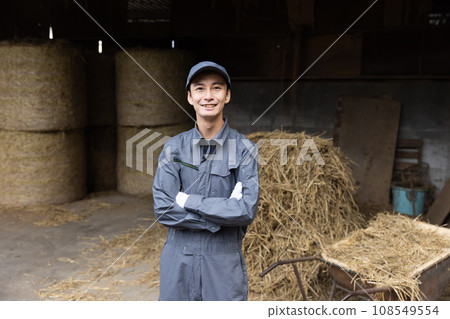 Dairy farmer raising cows 108549554