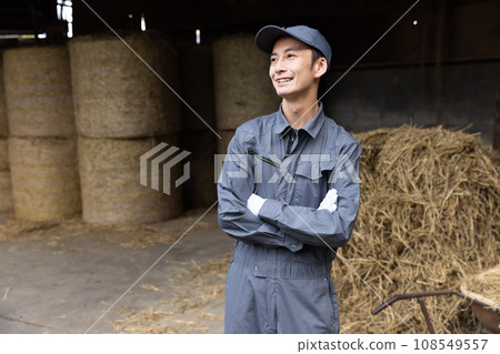 Dairy farmer raising cows Dairy farmer raising cows 108549557