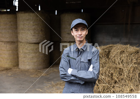 酪農飼養乳牛 108549558