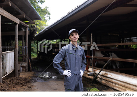 Dairy farmer raising cows Dairy farmer raising cows 108549559