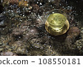 mountain stream and green tea 108550181
