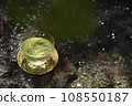 mountain stream and green tea 108550187