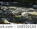 Mountain stream 108550189