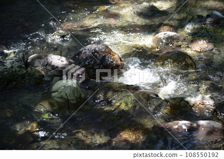 Mountain stream Mountain stream 108550192