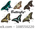 Papilionidae 108550220