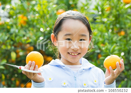 享受採摘橙子樂趣的女孩 108550232