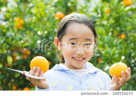 享受採摘橙子樂趣的女孩 108550233