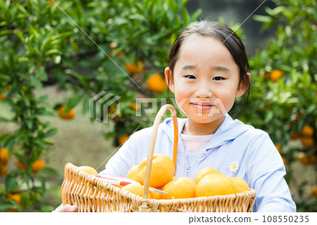 享受採摘橙子樂趣的女孩 108550235