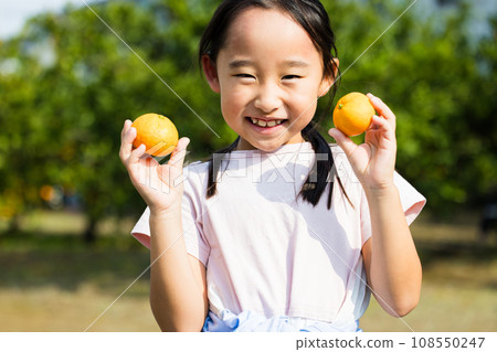 享受採摘橙子樂趣的女孩 享受採摘橙子樂趣的女孩 108550247