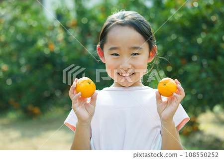 享受採摘橙子樂趣的女孩 108550252