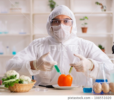 Scientist working in lab on GMO fruits and vegetables Scientist working in lab on GMO fruits and vegetables 108551020