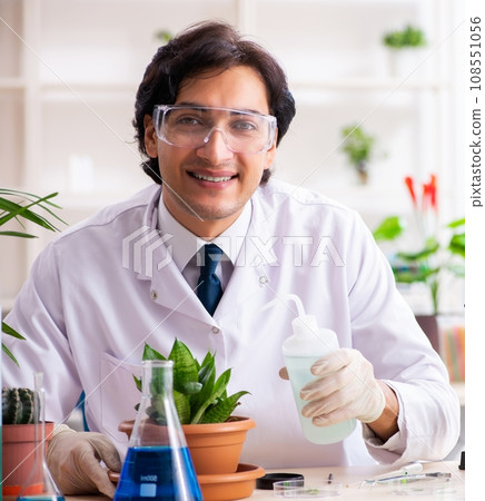Biotechnology chemist working in lab 108551056