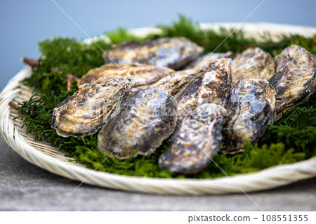 Grilled oysters in the shell from Aioi City Grilled oysters in the shell from Aioi City 108551355