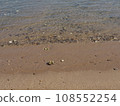 The beach at the beach 108552254