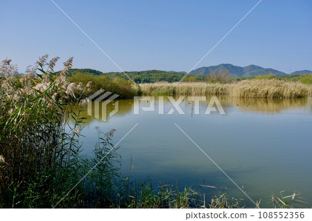 受拉姆薩爾公約保護的宍道湖岸邊的群落生境 108552356