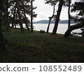 Amanohashidate pine trees 108552489