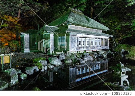 Night garden 108553123