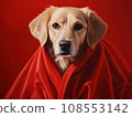 Superhero rescue dog in a red cloak on red background isolated AI 108553142