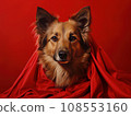 Superhero rescue dog in a red cloak on red background isolated AI 108553160