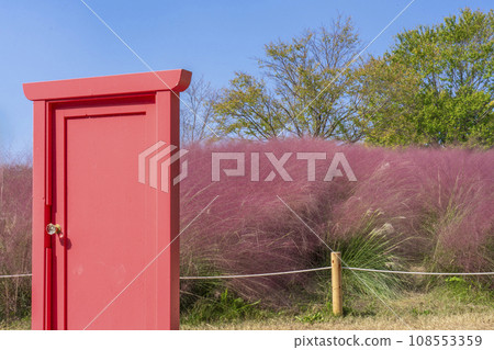 Expo Park Muhlenbergia Expo Park Muhlenbergia 108553359