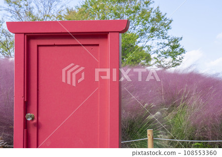 Expo Park Muhlenbergia 108553360