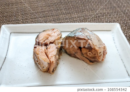 Sake appetizer｜Canned mackerel 108554342