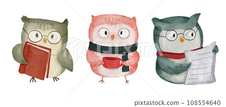 Owl bird . Christmas theme . Watercolor paint cartoon characters . Isolated . Set 4 of 4 . illustration . 108554640