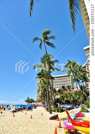 夏威夷的假期 108555117
