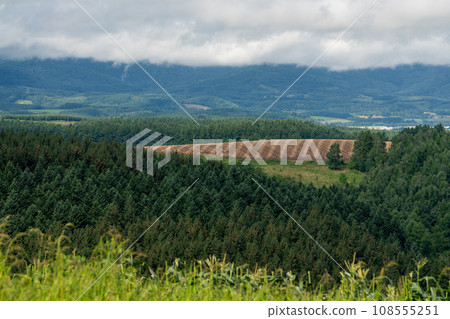 美瑛廣闊的土地 108555251