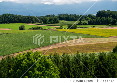 美瑛廣闊的土地 108555252