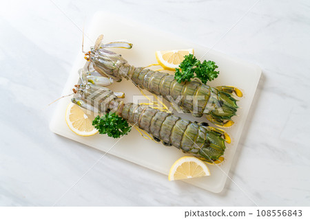 fresh mantis shrimp with lemon fresh mantis shrimp with lemon 108556843