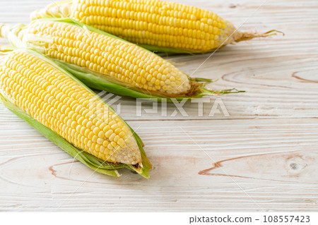 fresh corn on wood background 108557423