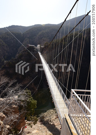 山谷中的白色吊橋 108557906