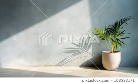 Tropical palm in clay pot and shadow on concrete wall 108558171