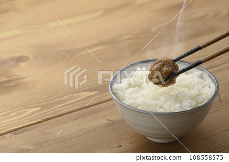 醃李子（紀州南古梅） 108558573