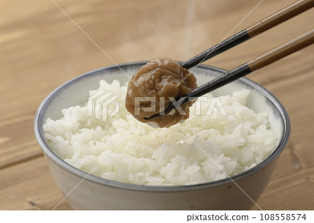 醃李子(紀州南古梅) 醃李子(紀州南古梅) 108558574