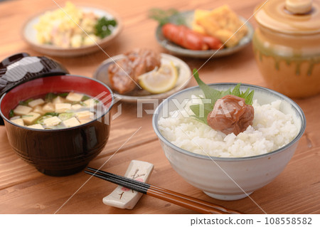醃李子(紀州南古梅) 醃李子(紀州南古梅) 108558582