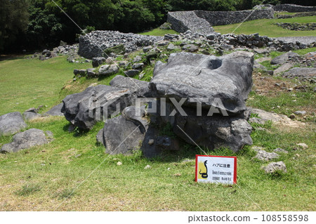 Outer scenery of Nakijin Castle ruins_Okinawa 108558598