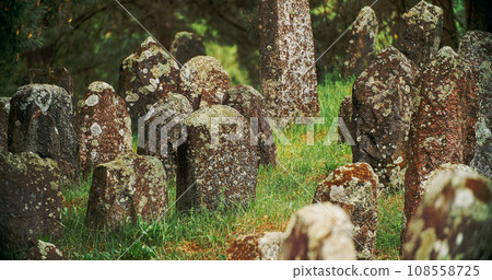 Old ancient Jewish cemetery in summer spring day. green grass an 108558725