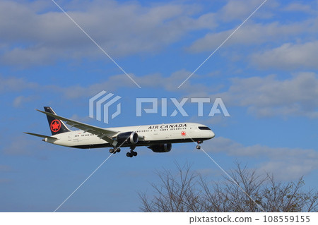 Air Canada plane landing at Narita Airport 108559155